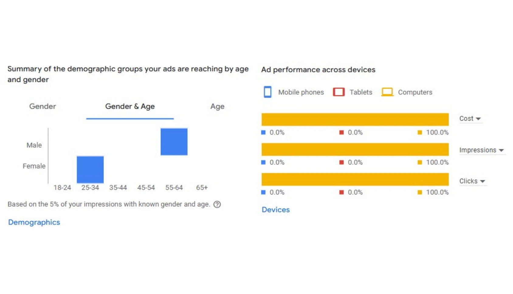Google Ads Portfolio