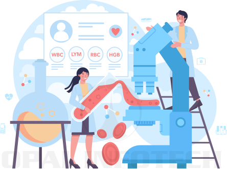 Chemical Industry SEO Services